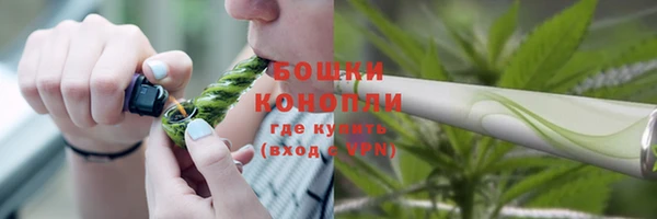apvp Костерёво