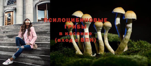 apvp Костерёво