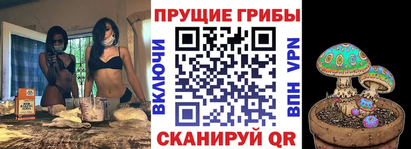 Купить закладки Вязьма Псилоцибиновые грибы Psilocybine cubensis